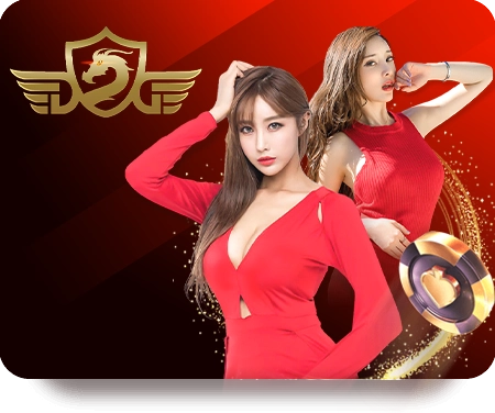 ทางเข้า newhigh888